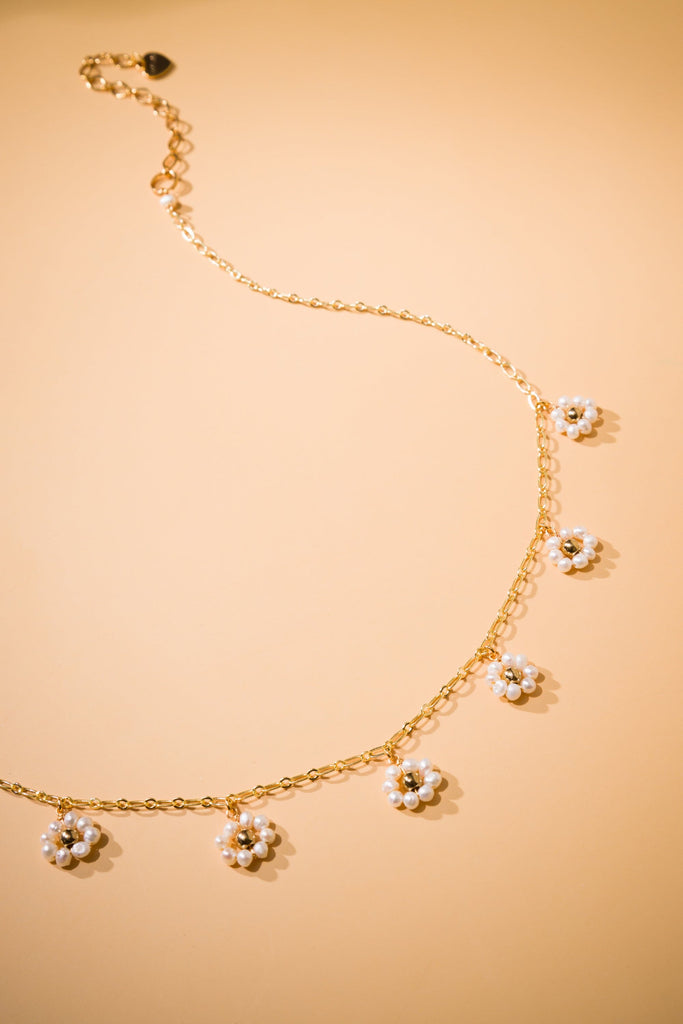 WNXM1125 WHPG - Nakamol